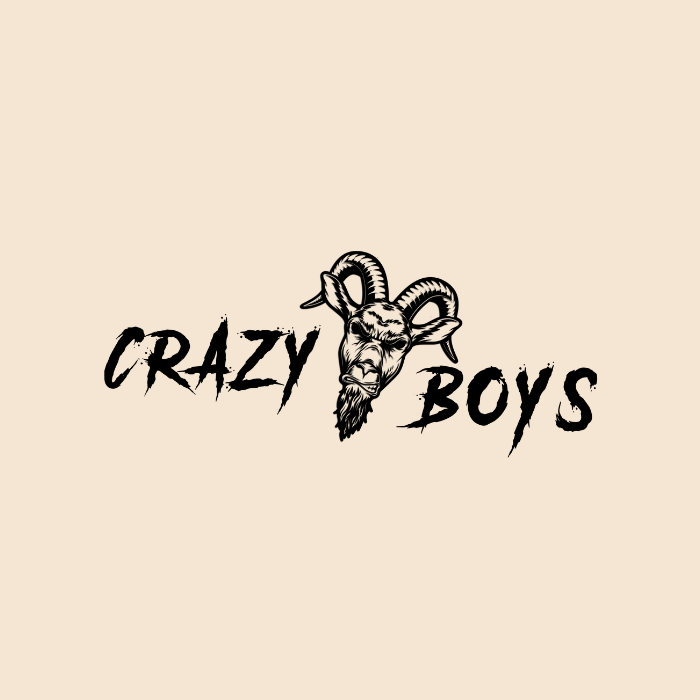 CRAZYBOYS DJ (duo)
